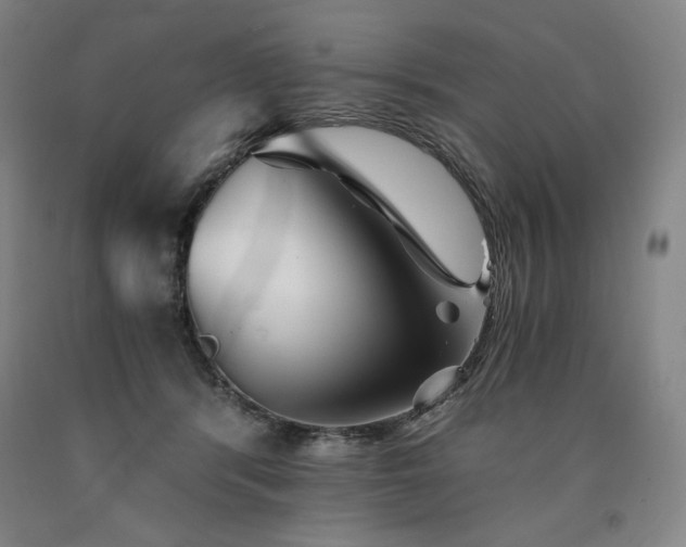 X0000090920416200707301537