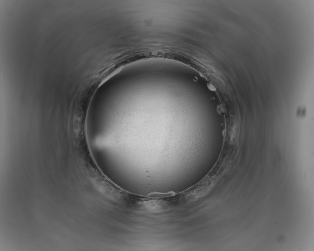 X0000090920417200707301537