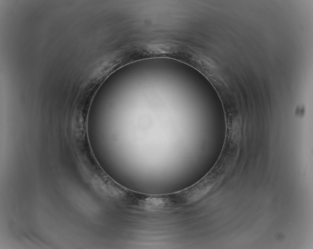 X0000090920418200707301537