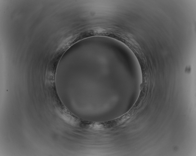 X0000090920419200707301537