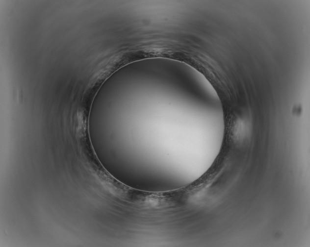 X0000090920420200707301537
