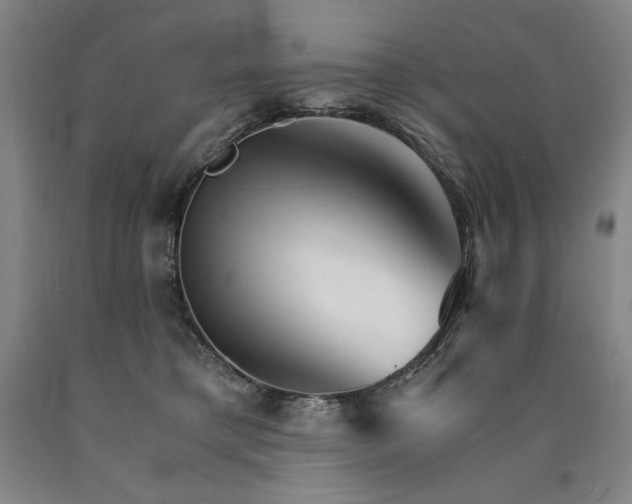 X0000090920421200707301537