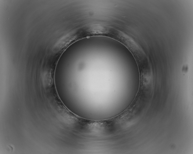 X0000090920422200707301537