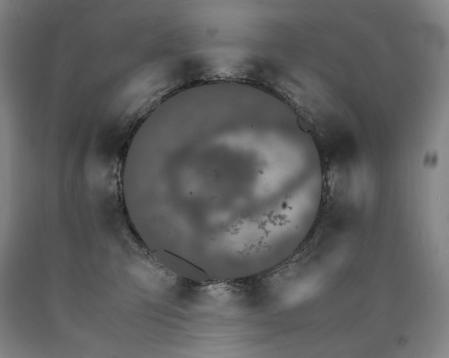 X0000090920423200707301537