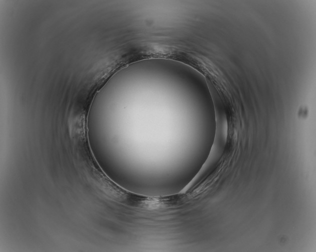 X0000090920425200707301537