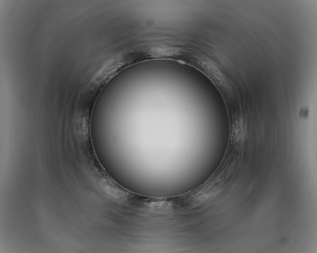 X0000090920426200707301537