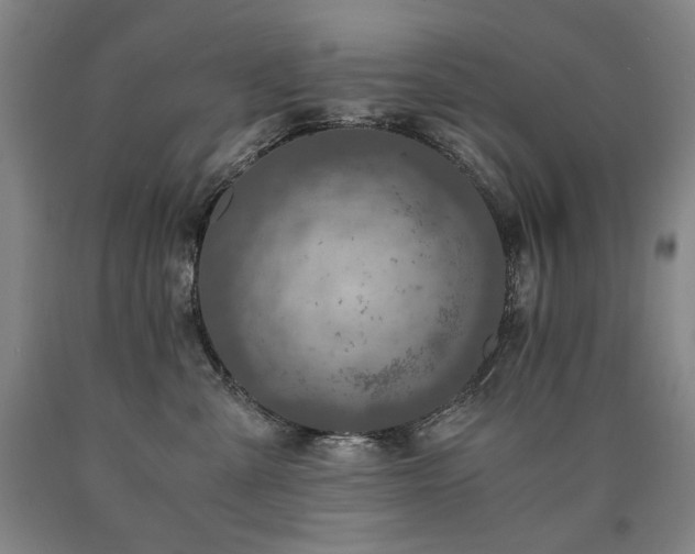 X0000090920427200707301537