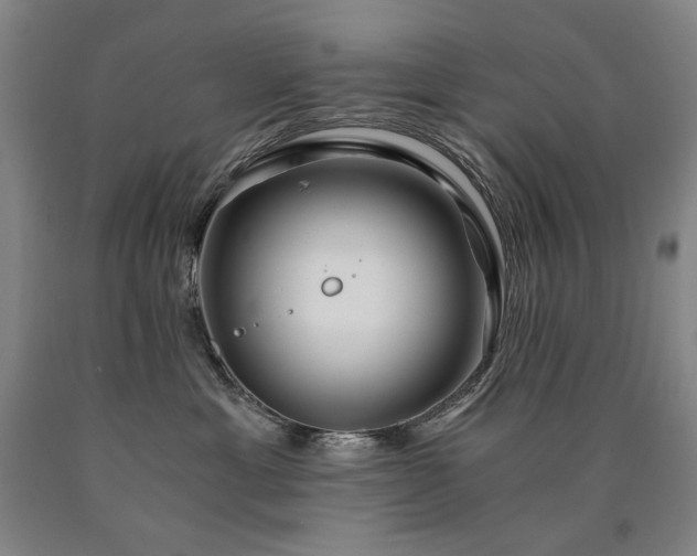 X0000090920429200707301537