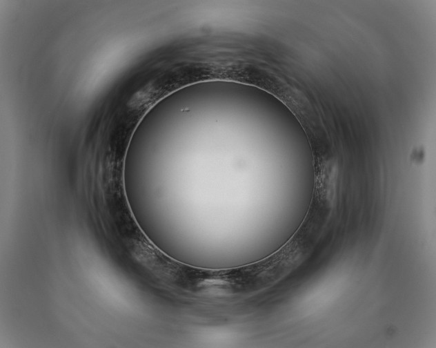 X0000090920430200707301537