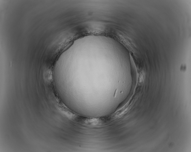 X0000090920431200707301537