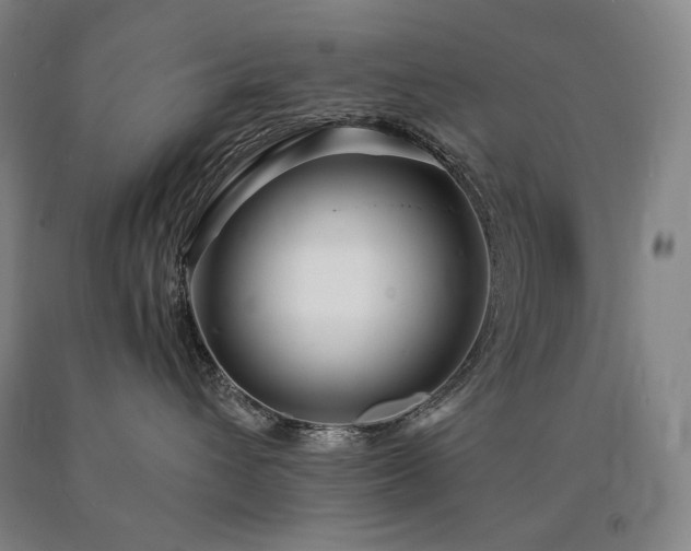 X0000090920432200707301537