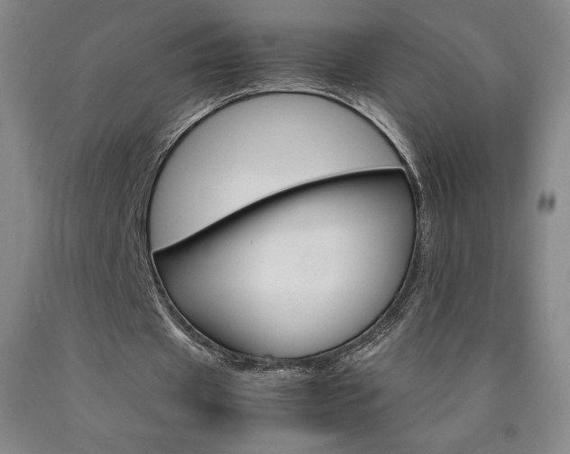 X0000090920433200707301536
