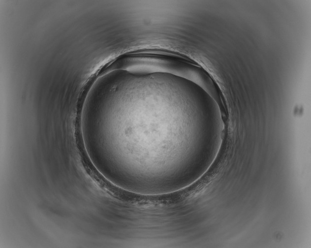 X0000090920434200707301536