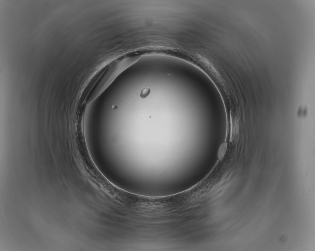 X0000090920435200707301536