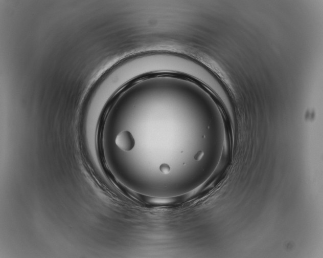 X0000090920436200707301536