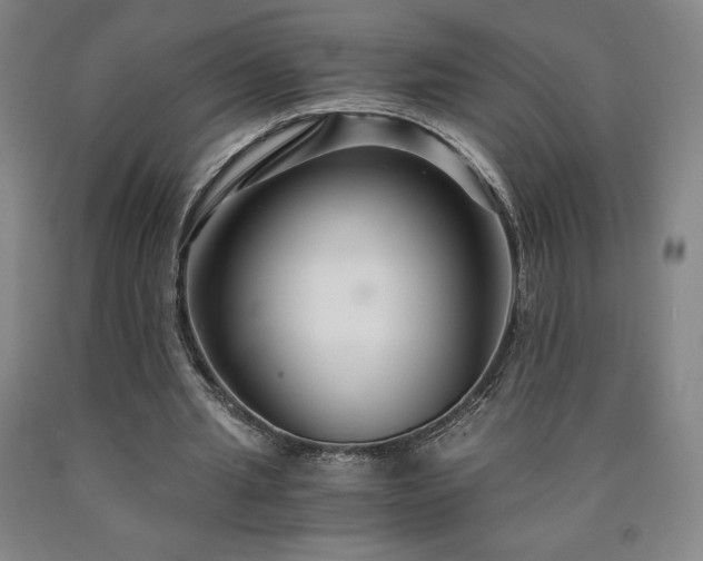 X0000090920437200707301536
