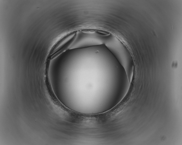 X0000090920438200707301536
