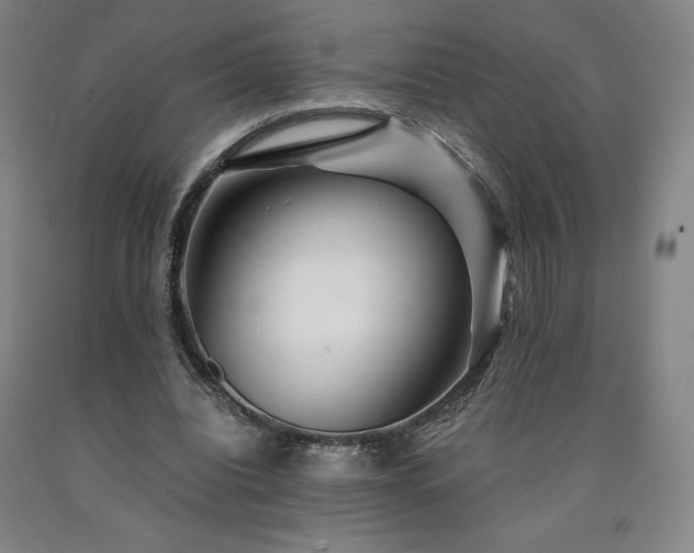 X0000090920440200707301536