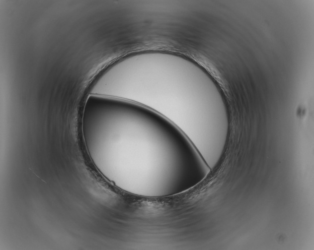 X0000090920442200707301536