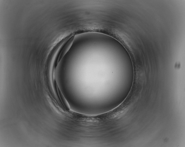 X0000090920443200707301536