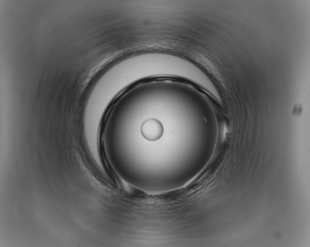 X0000090920444200707301536