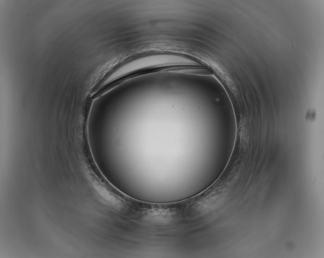 X0000090920445200707301536