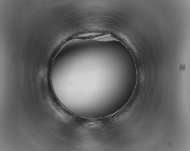 X0000090920447200707301536