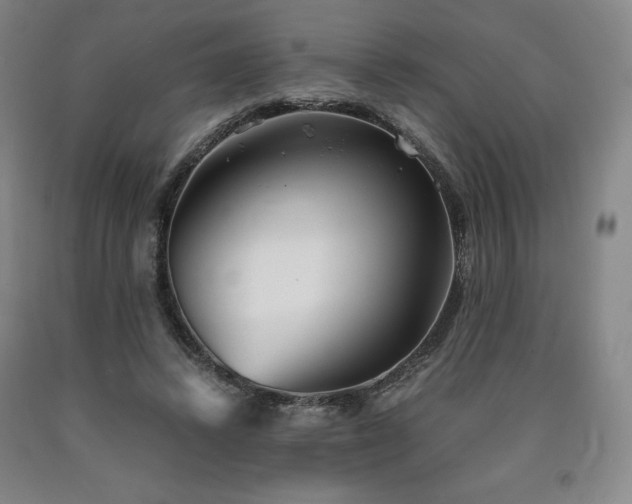 X0000090920448200707301536