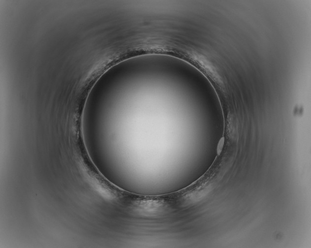 X0000090920449200707301536