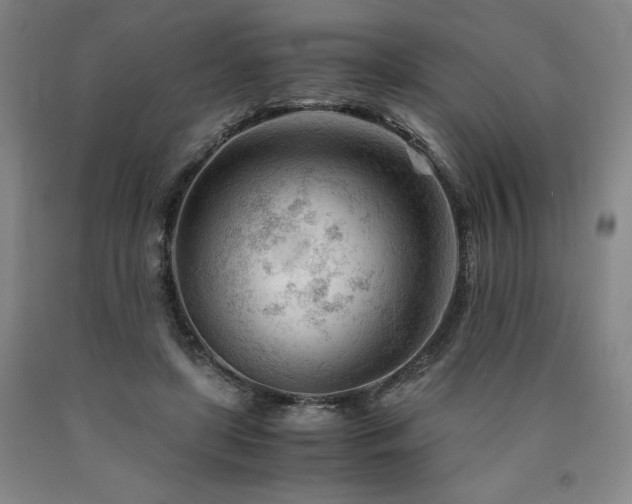 X0000090920451200707301536