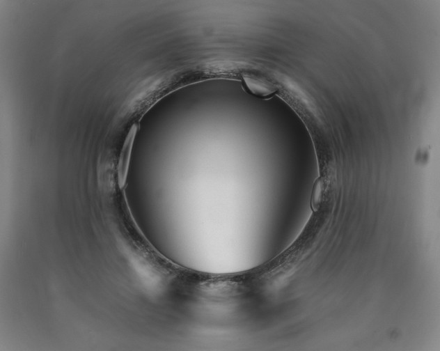 X0000090920452200707301536