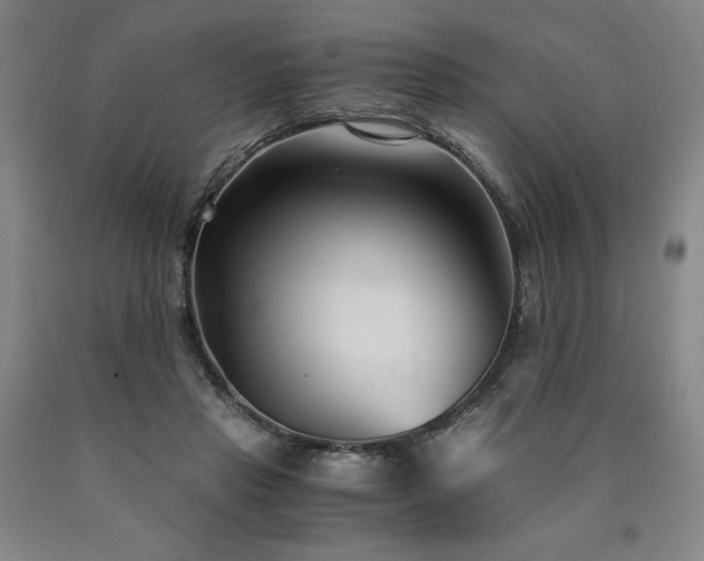 X0000090920453200707301536