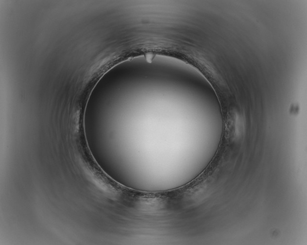 X0000090920454200707301536