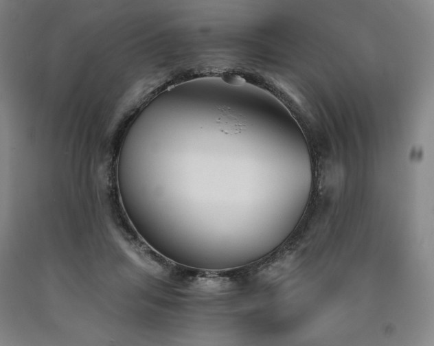 X0000090920455200707301537