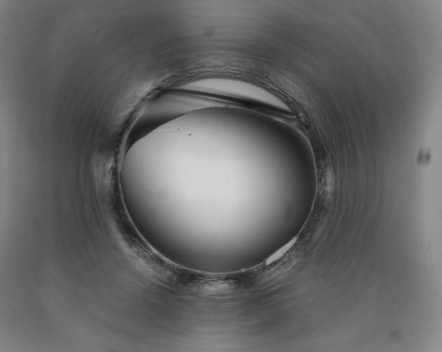 X0000090920456200707301537