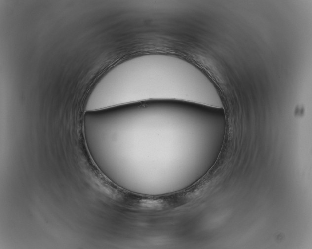 X0000090920457200707301537
