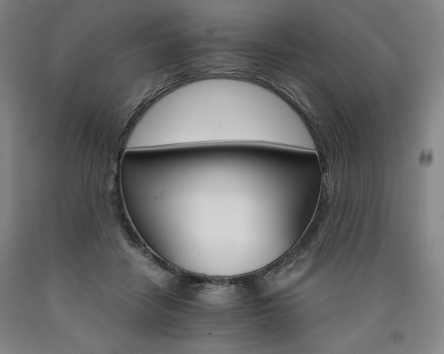 X0000090920458200707301537