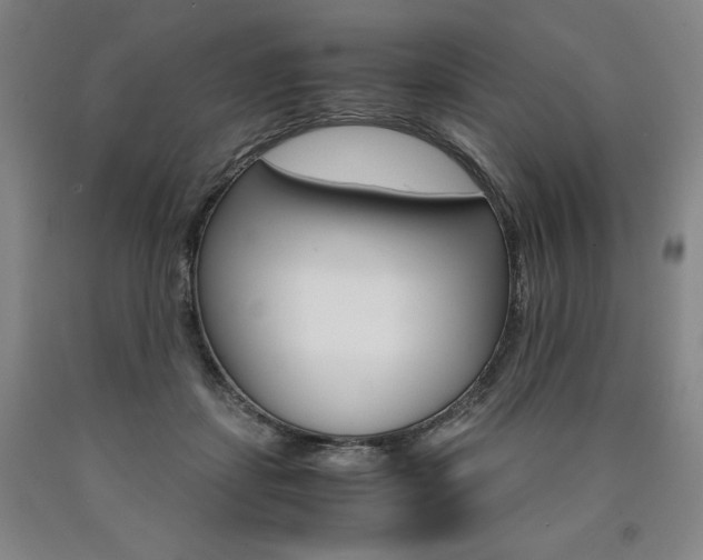 X0000090920459200707301537