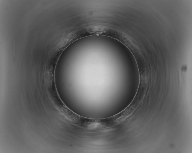 X0000090920460200707301537