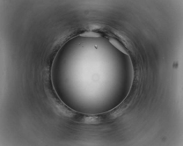 X0000090920461200707301537