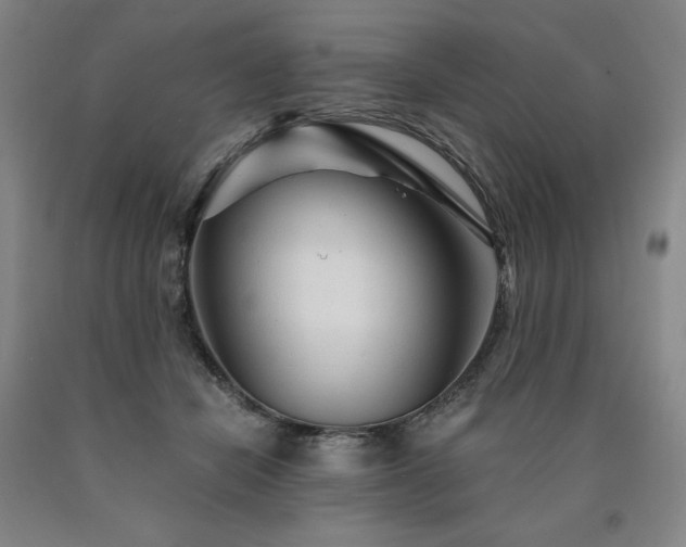 X0000090920462200707301537