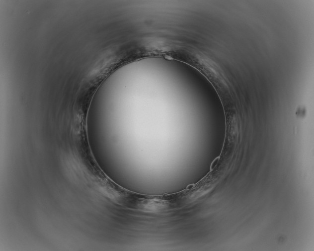 X0000090920463200707301537