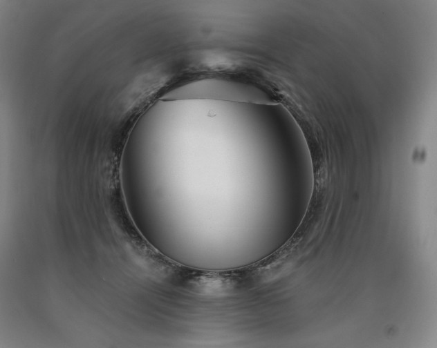 X0000090920464200707301537