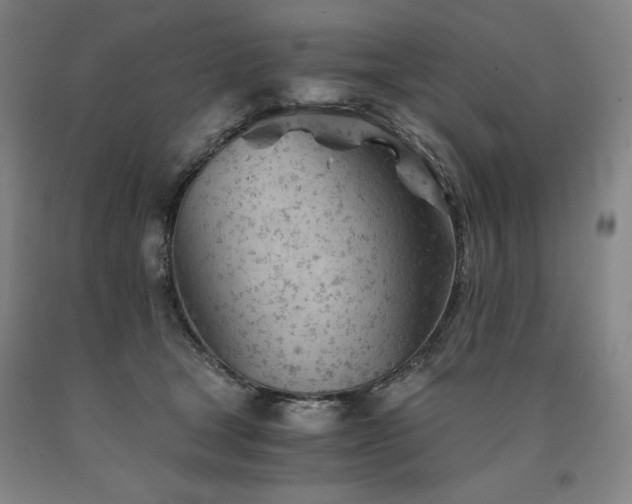X0000090920465200707301537