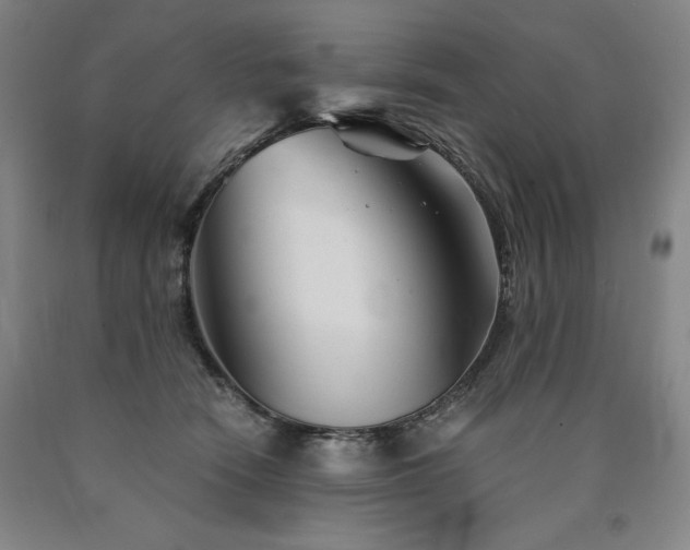 X0000090920466200707301537