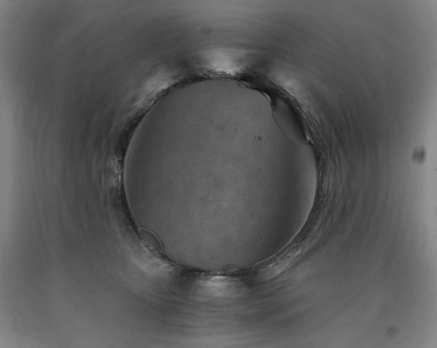 X0000090920467200707301537