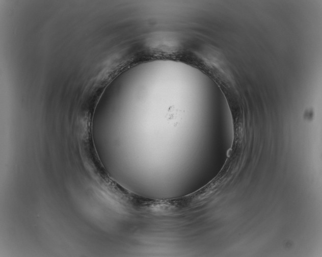 X0000090920468200707301537