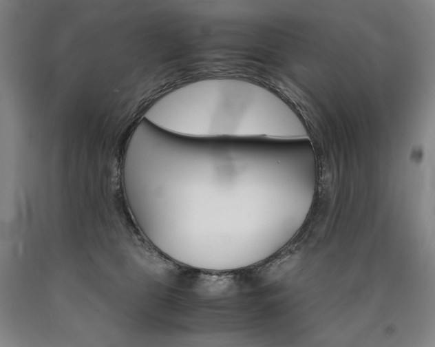 X0000090920469200707301537
