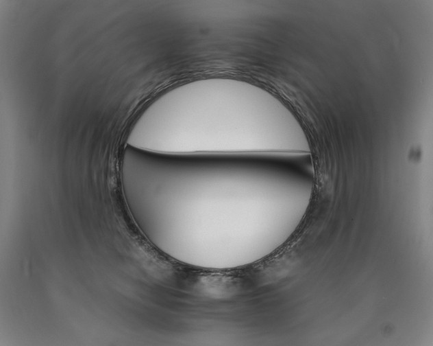 X0000090920470200707301537