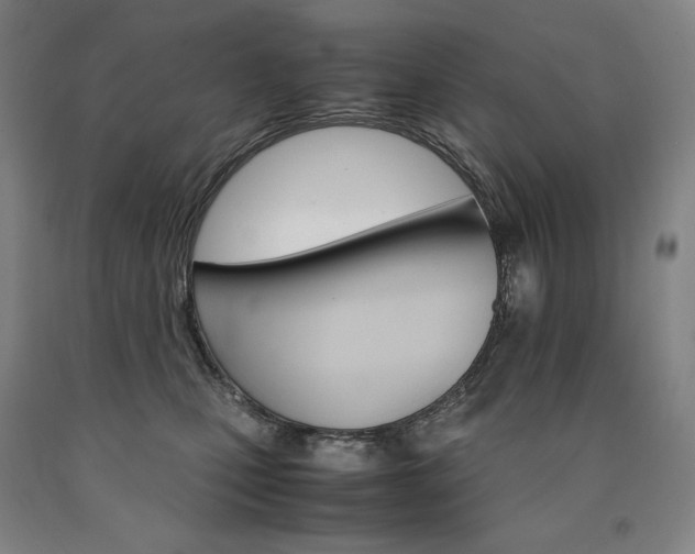 X0000090920471200707301537